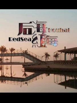 后海·红海海报