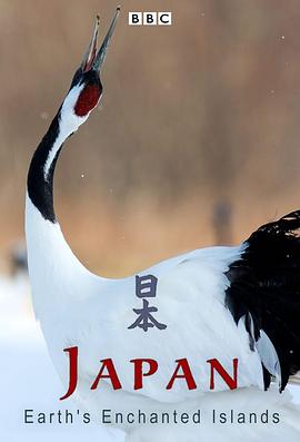 狂野日本海报